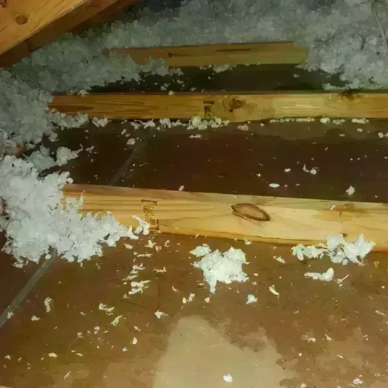 Attic Water Damage in North Aurora, IL