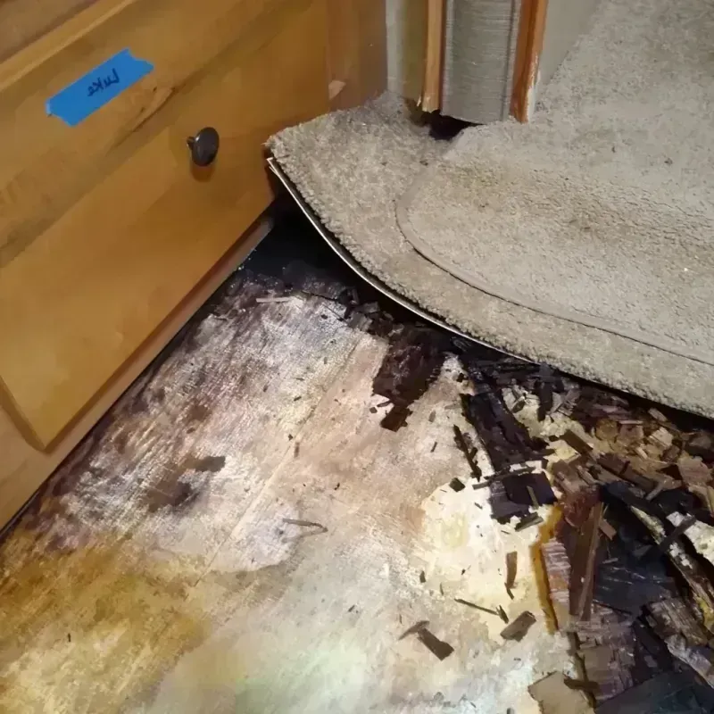 Wood Floor Water Damage in North Aurora, IL